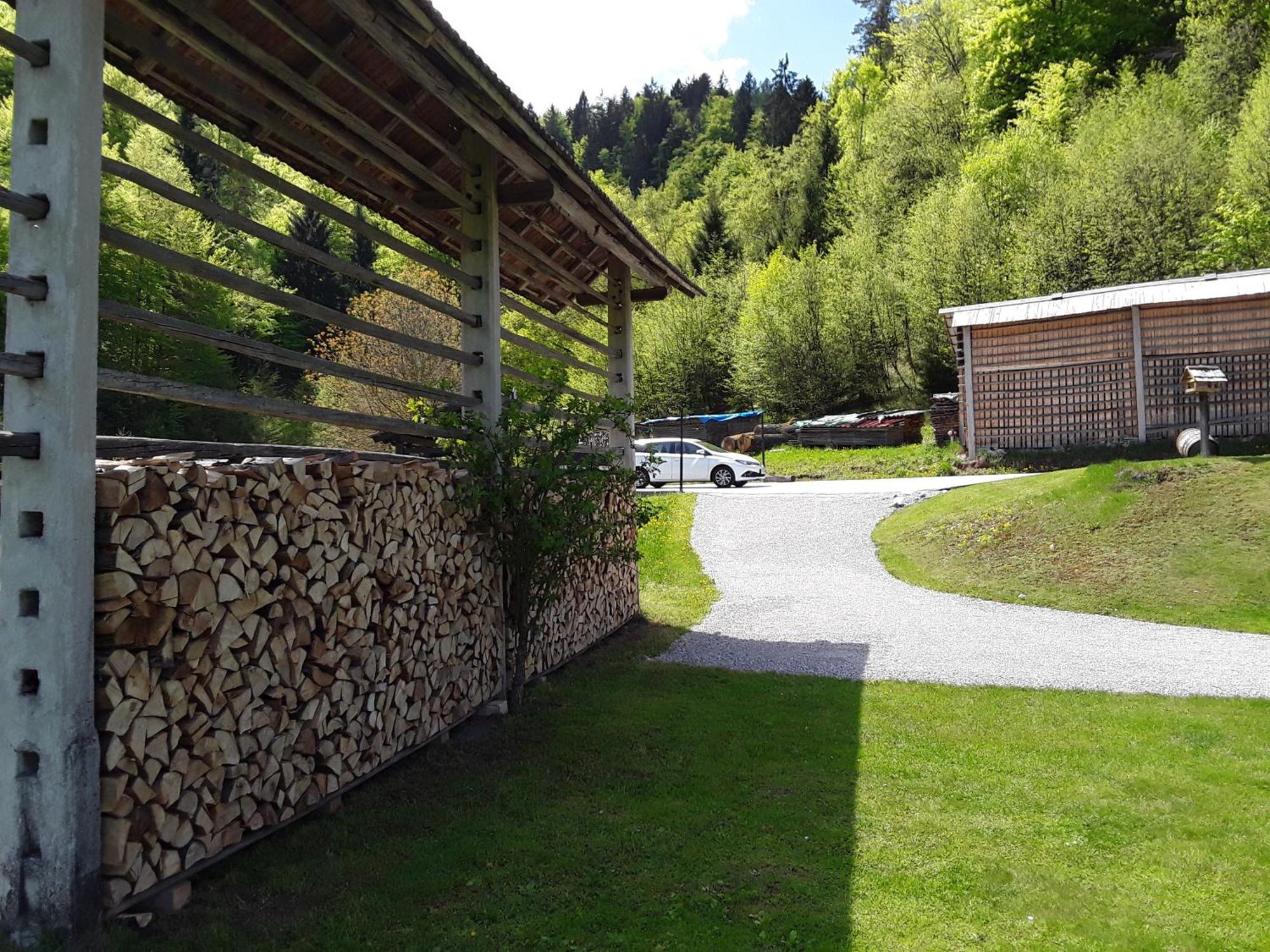 Apartment Natur Bled Eksteriør billede