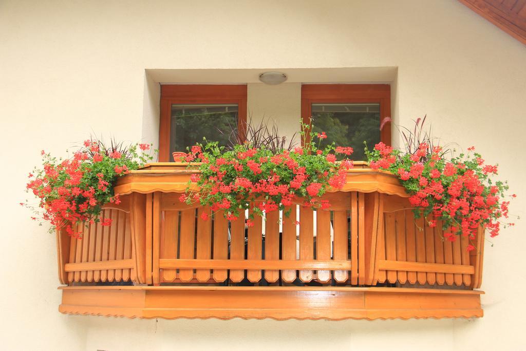 Apartment Natur Bled Værelse billede