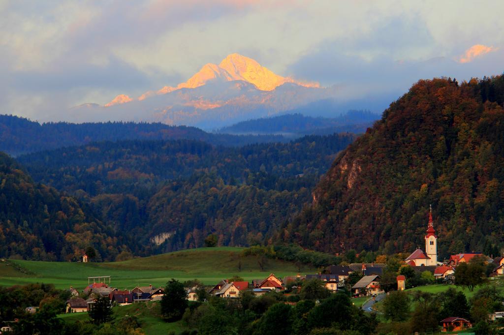 Apartment Natur Bled Værelse billede