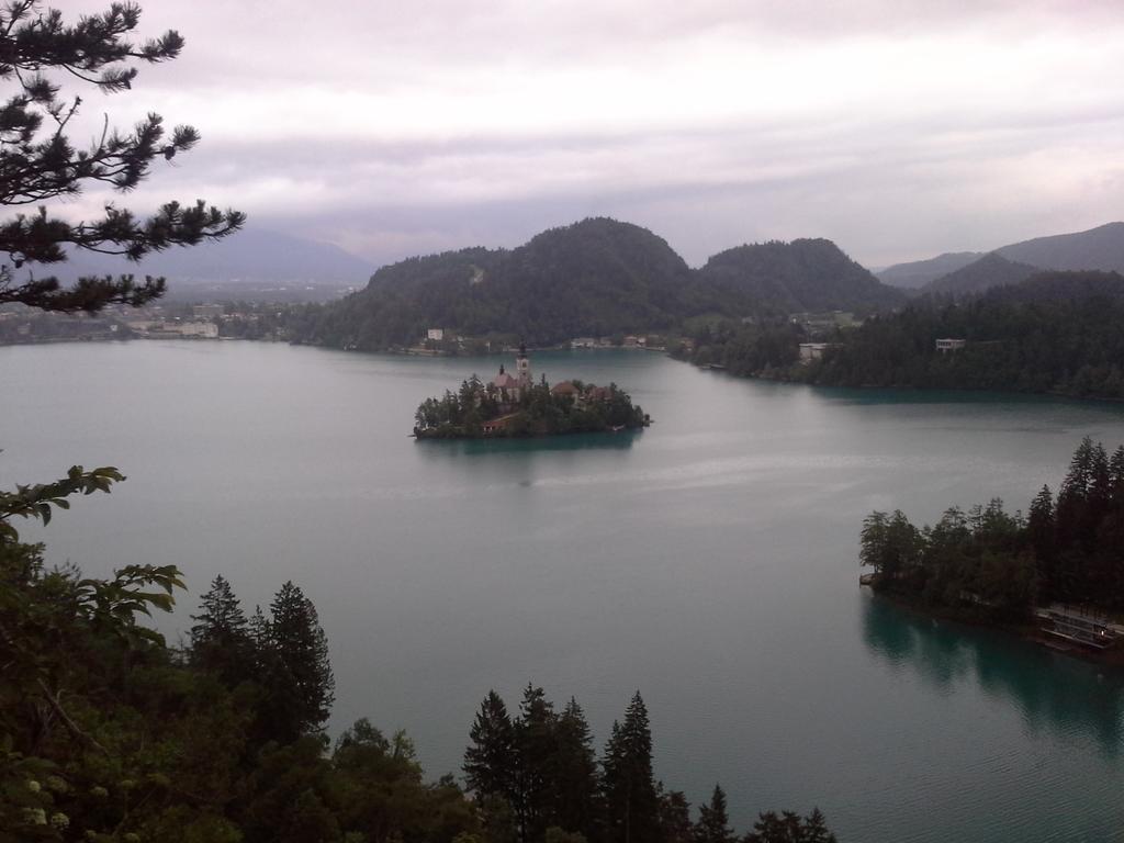 Apartment Natur Bled Værelse billede